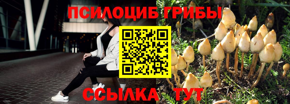 Псилоцибиновые грибы ЛСД  Вход с VPN  Галлюциногенные грибы Cubensis  Новодвинск 