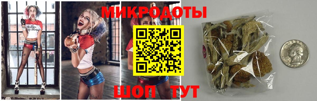 Галлюциногенные грибы MAGIC MUSHROOMS Новодвинск